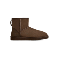 UGG Classic Mini boots Brown